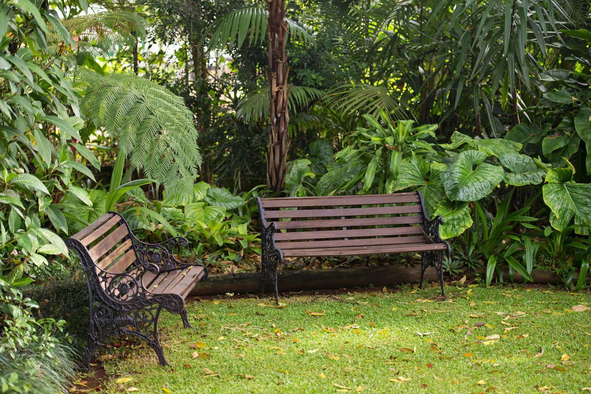 Allumbah Pocket Cottages Yungaburra Exteriér fotografie